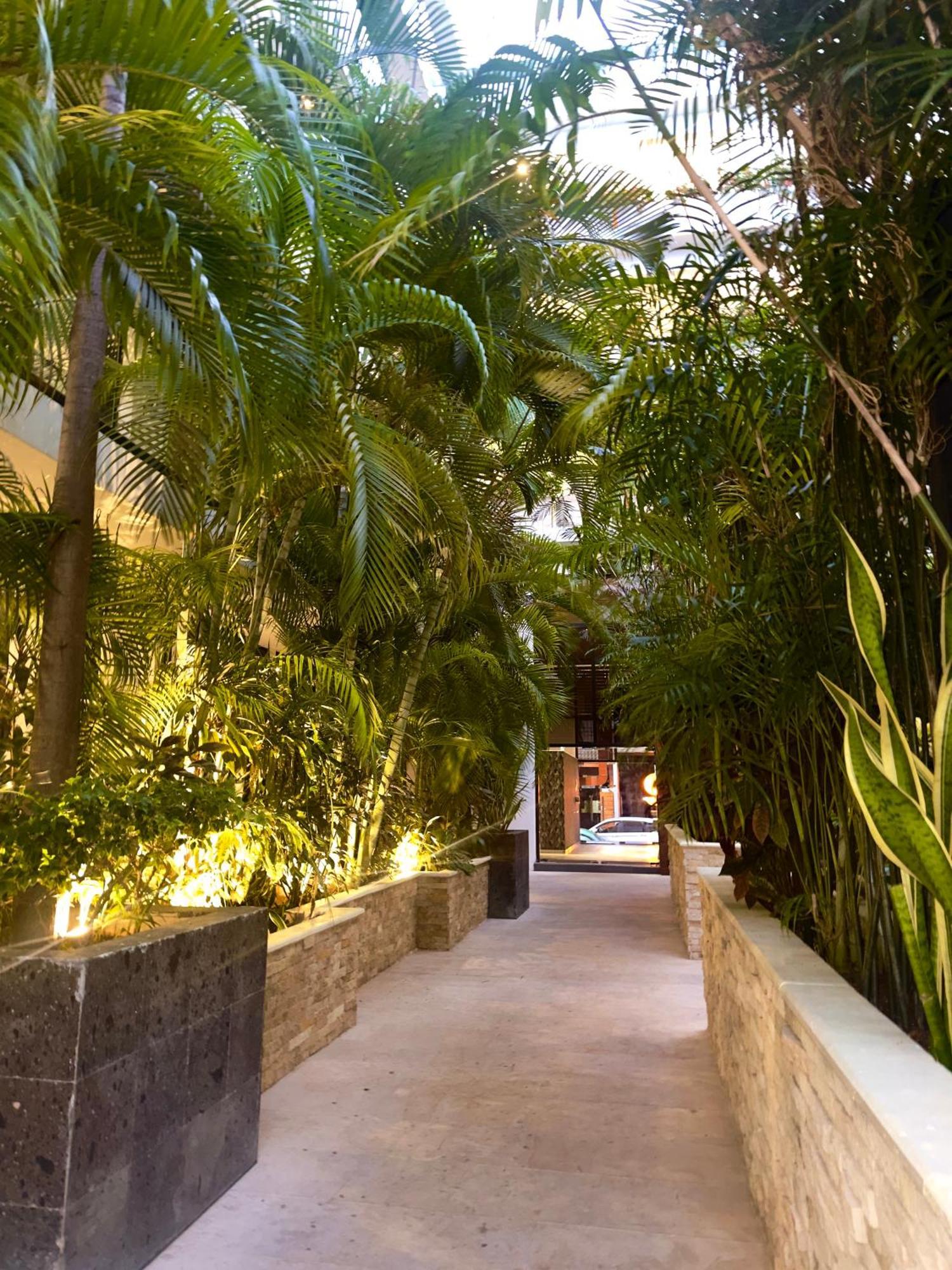 The City Condos By Menesse Playa del Carmen Zewnętrze zdjęcie